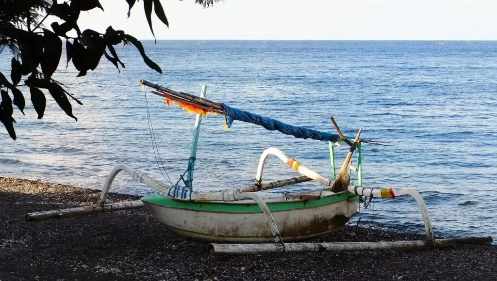 VISIT amED